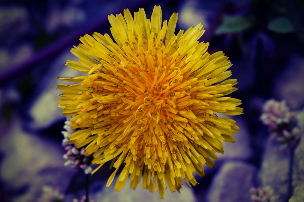 ��������� ����� ����� ����������� �� PhotoGeek.ru #������ ��� ������� #����� ��������������