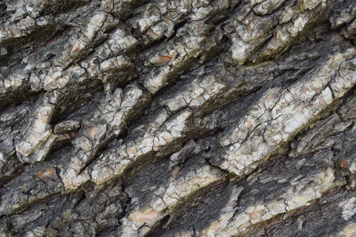 ... ����� ����� ����������� �� PhotoGeek.ru #������ ��� ������� #����� ��������������