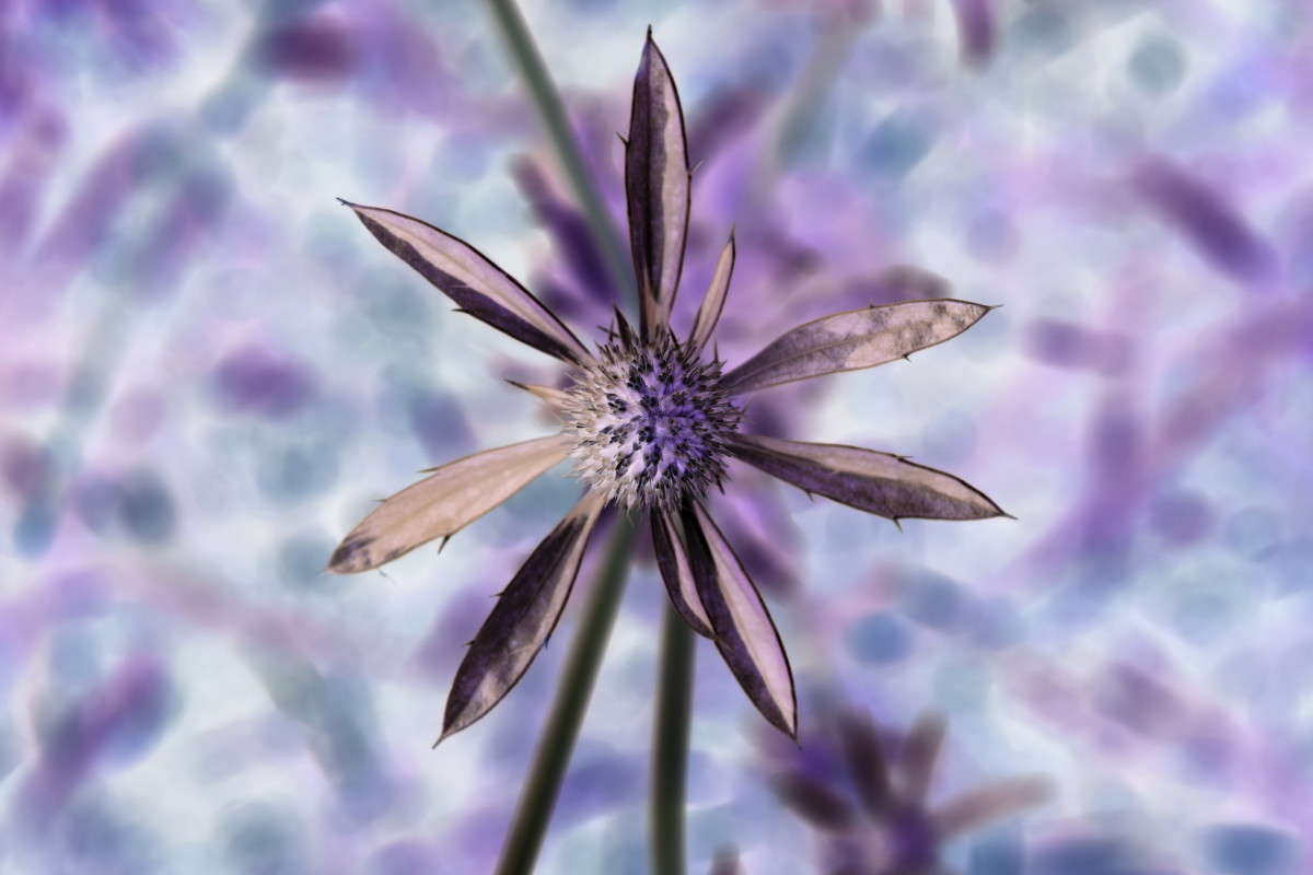 ������� ����� ����� ����������� �� PhotoGeek.ru #������ ��� ������� #����� ��������������