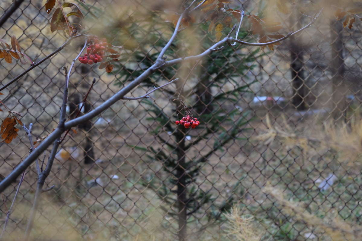 ������ �������� ����� ����� ����������� �� PhotoGeek.ru #������ ��� ������� #����� ��������������