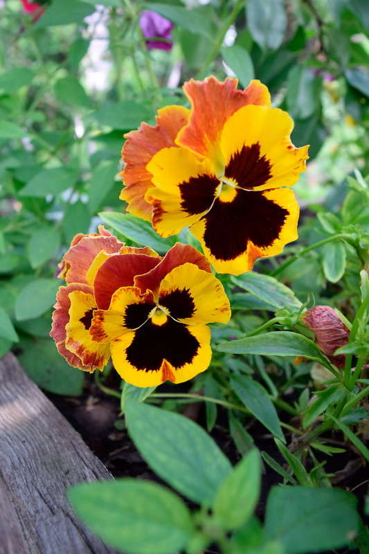 ���������� ������ ����� ����� ����������� �� PhotoGeek.ru #������ ��� ������� #����� ��������������