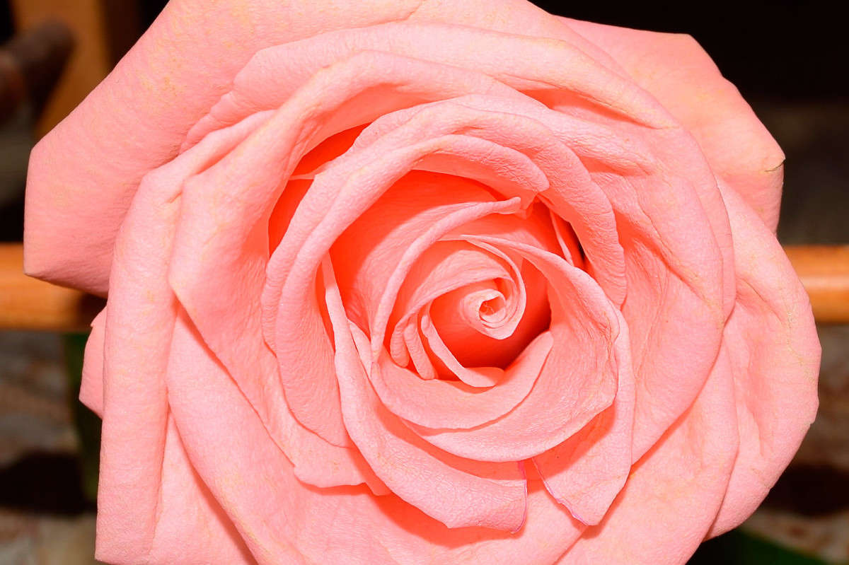 ������� ���� ����� ����� ����������� �� PhotoGeek.ru #����� #������ ��� ������� #����� ��������������