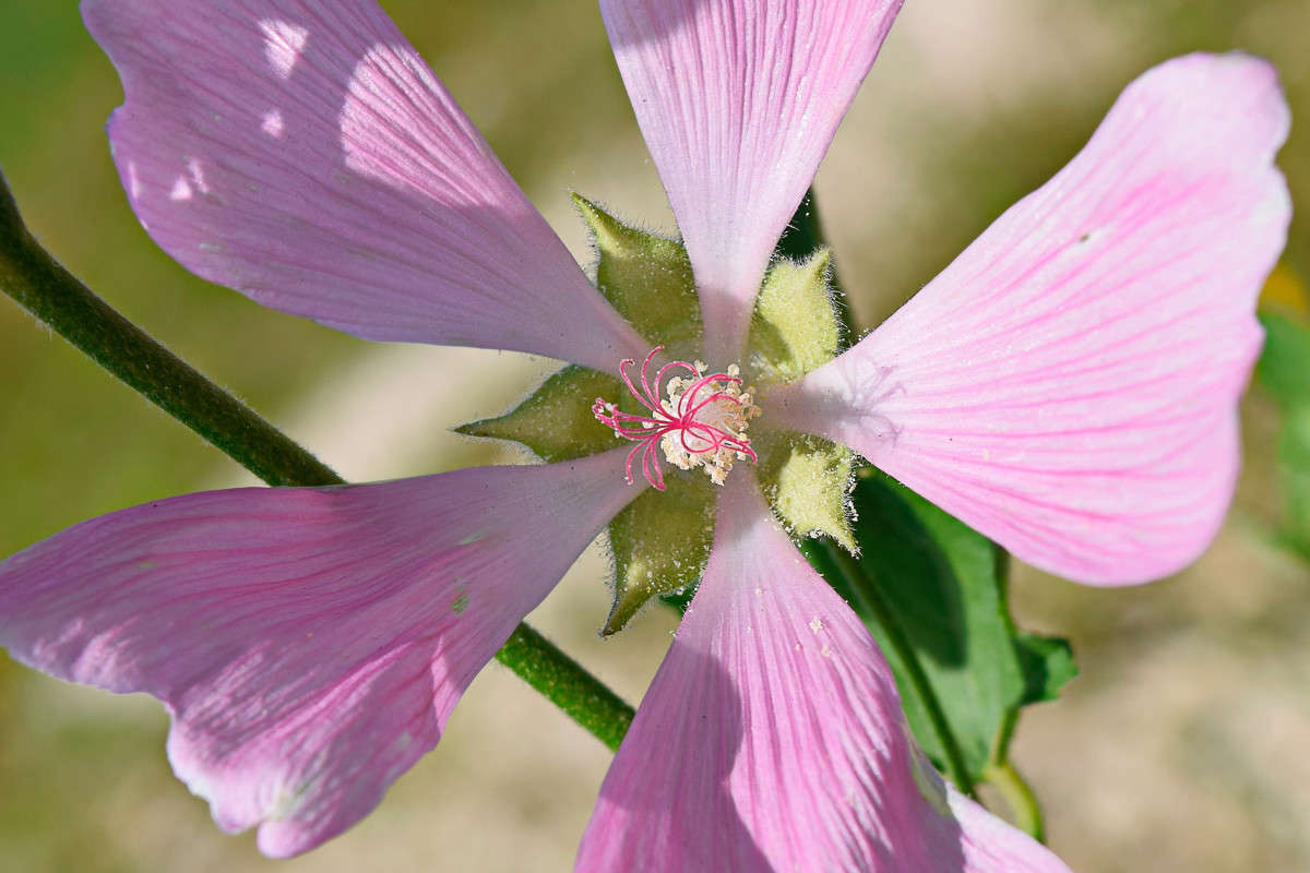 ������ ����� ����� ����������� �� PhotoGeek.ru #����� #������ ��� ������� #����� ��������������