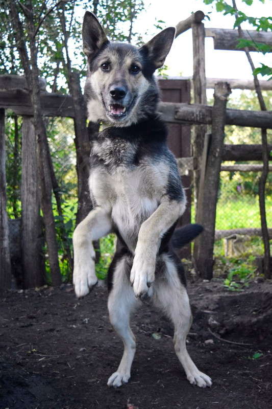 ��, �������! ����� ����� ����������� �� PhotoGeek.ru #�������� ��� #�������� ���