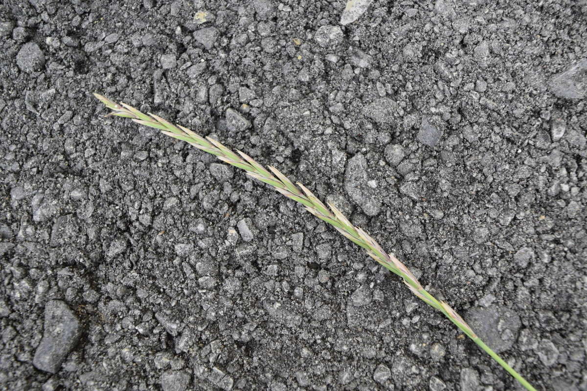 ������ ����� ����� ����������� �� PhotoGeek.ru #������ ��� ������� #����� ��������������