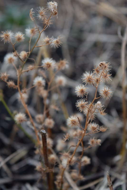 ... ����� ����� ����������� �� PhotoGeek.ru #������ ��� ������� #����� ��������������