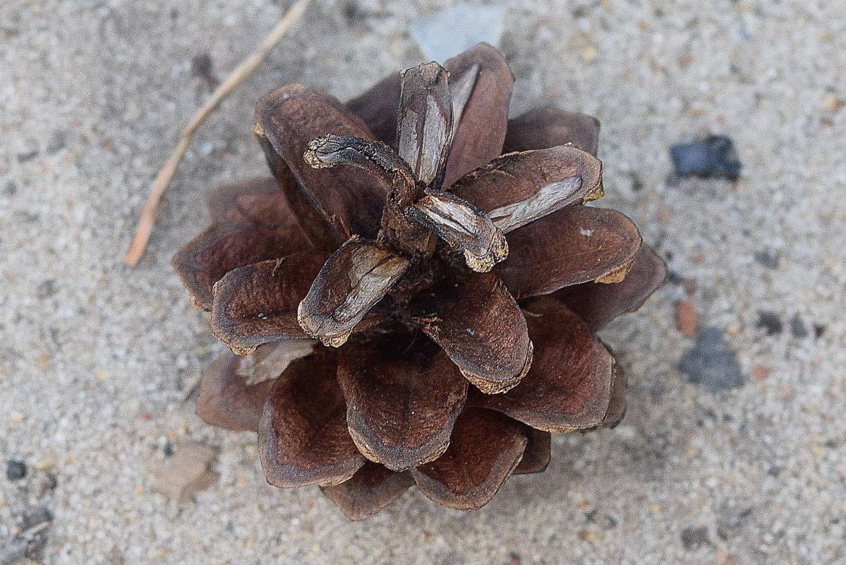 �������� � ���������������� ����� ����� ����������� �� PhotoGeek.ru #����� #������ ��� ������� #����� ��������������