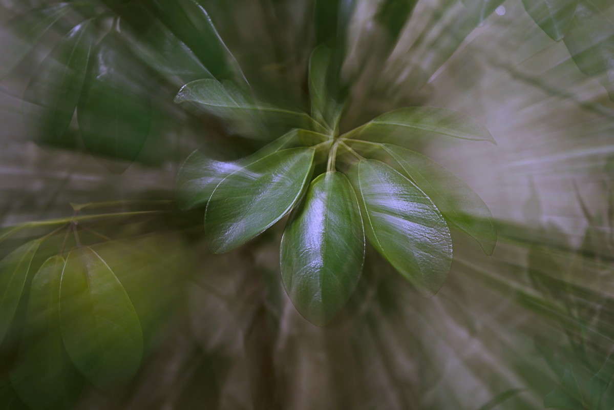 ������ ������ ����� ����� ����������� �� PhotoGeek.ru #������ ��� ������� #����� ��������������