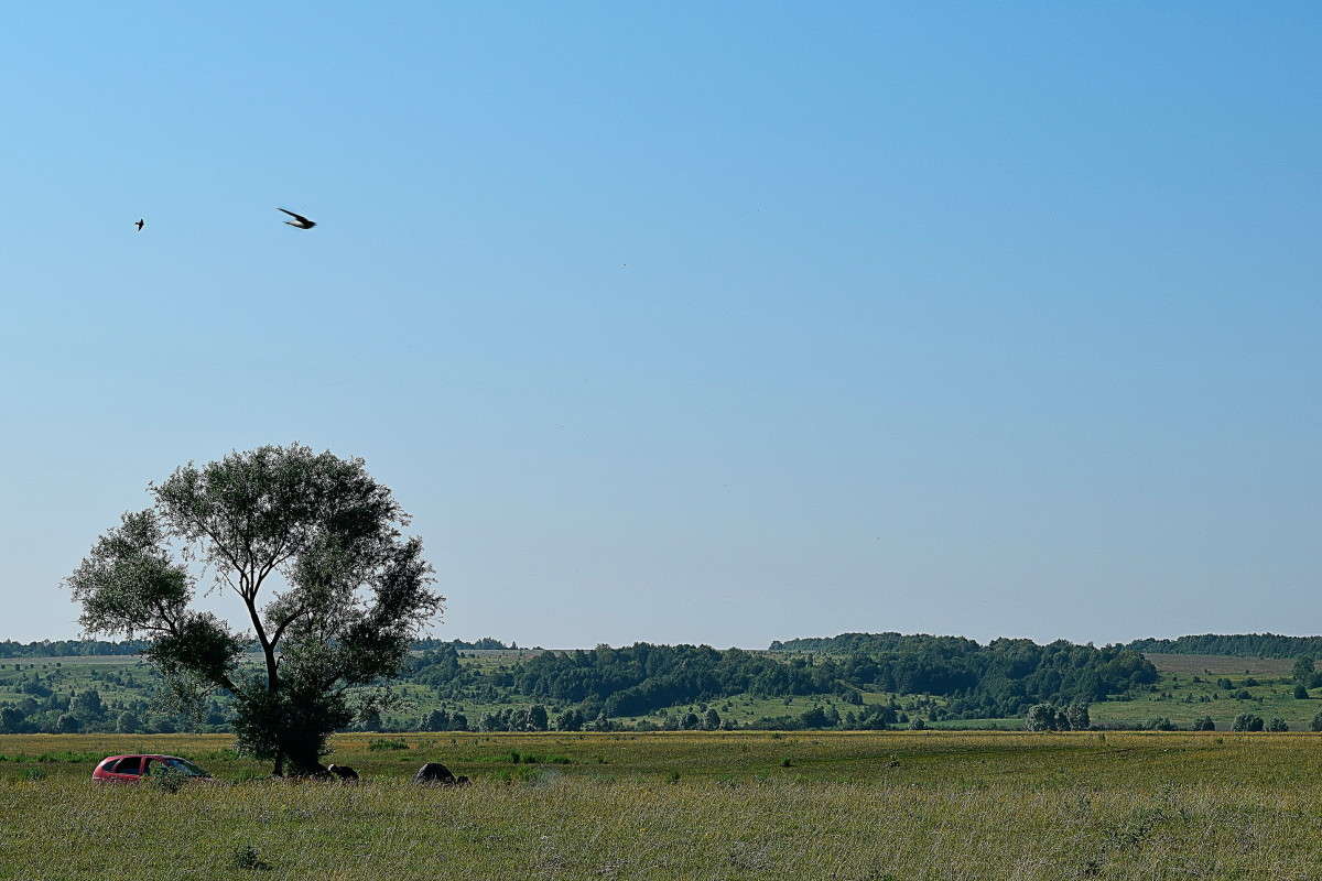 ������ ����� ����� ����������� �� PhotoGeek.ru #������ ��� ������� #����� �������������� #����� ��������