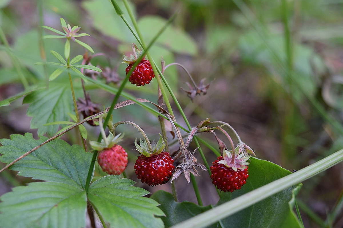 ������������ � ���� ����� ����� ����������� �� PhotoGeek.ru #����� #������ ��� ������� #����� ��������������