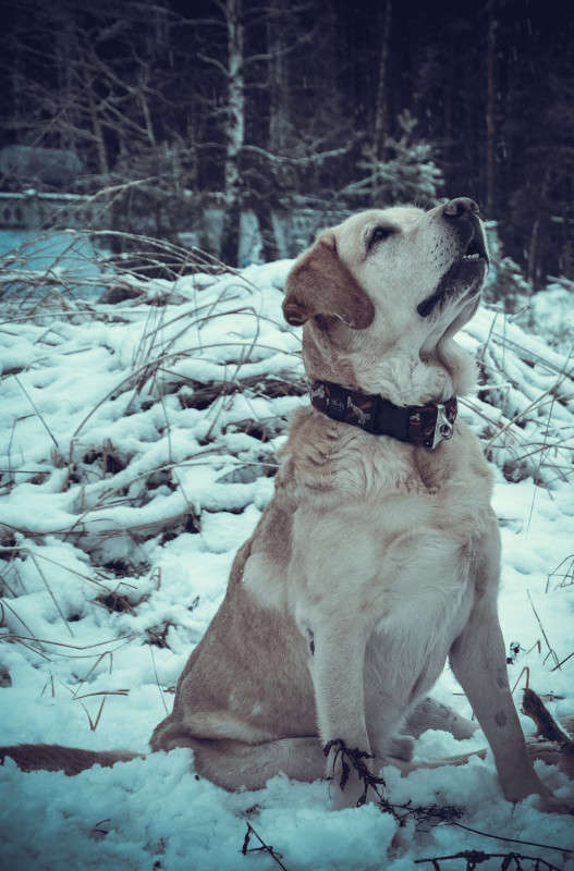 ����� ����� �����  �� PhotoGeek.ru #�������� ���