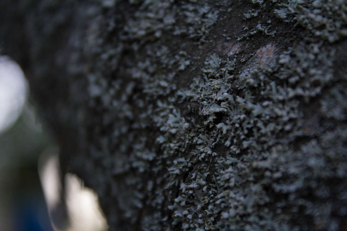 �������� ����� �����  �� PhotoGeek.ru #����� #����� ��������������