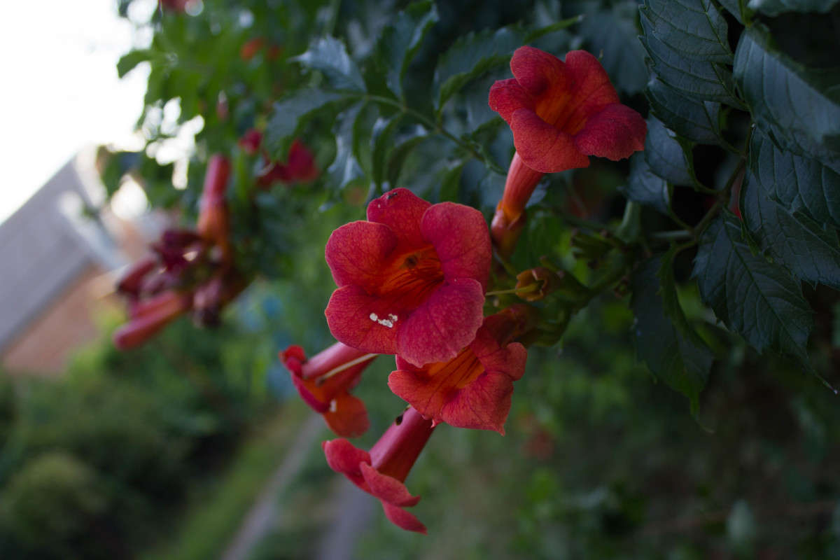 ������� ����� �����  �� PhotoGeek.ru #����� #������ ��� ������� #����� ��������������