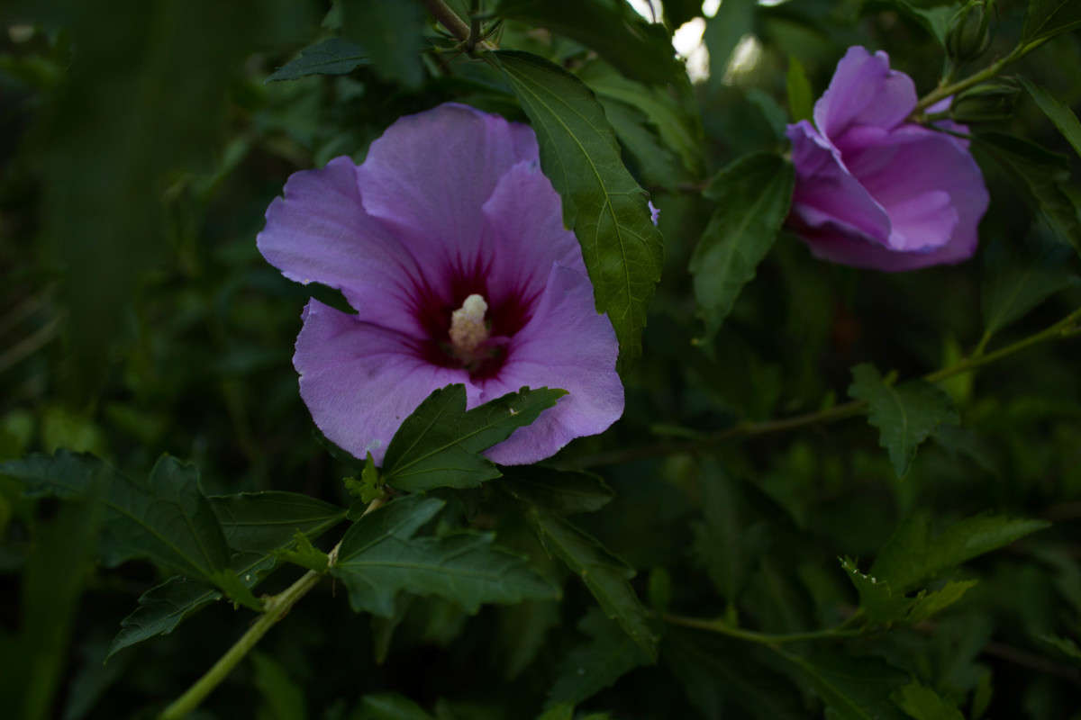 ��������)) ����� �����  �� PhotoGeek.ru #������ ��� ������� #����� ��������������