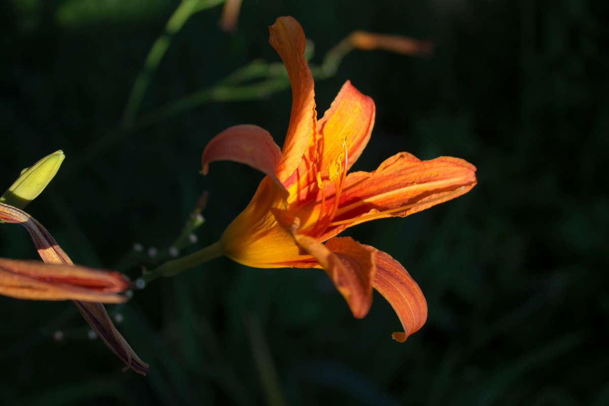 ��������))) ����� �����  �� PhotoGeek.ru #������ ��� ������� #����� ��������������