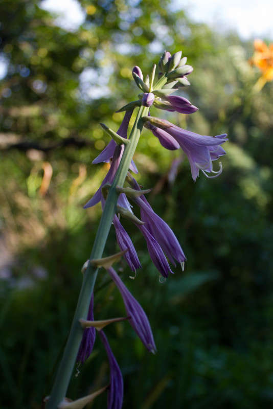 *** ����� �����  �� PhotoGeek.ru #����� #������ ��� ������� #����� ��������������