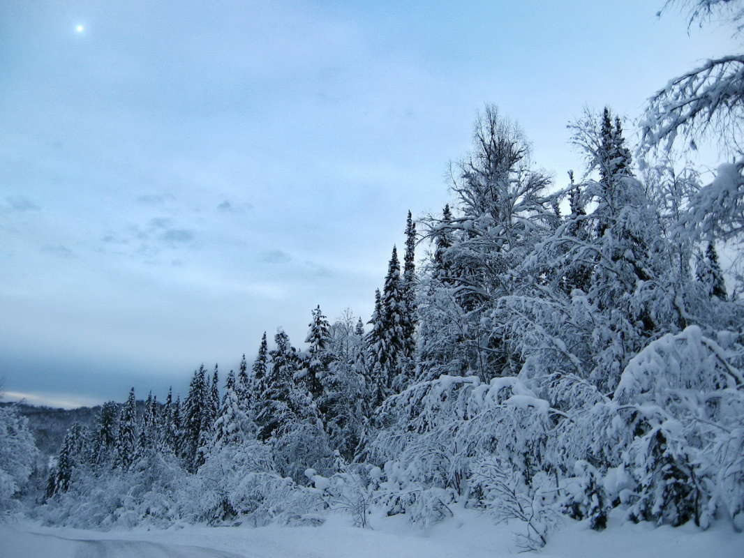 зима, зима автор ROCKNROLLA  на PhotoGeek.ru #Fine Art #Пейзаж или природа