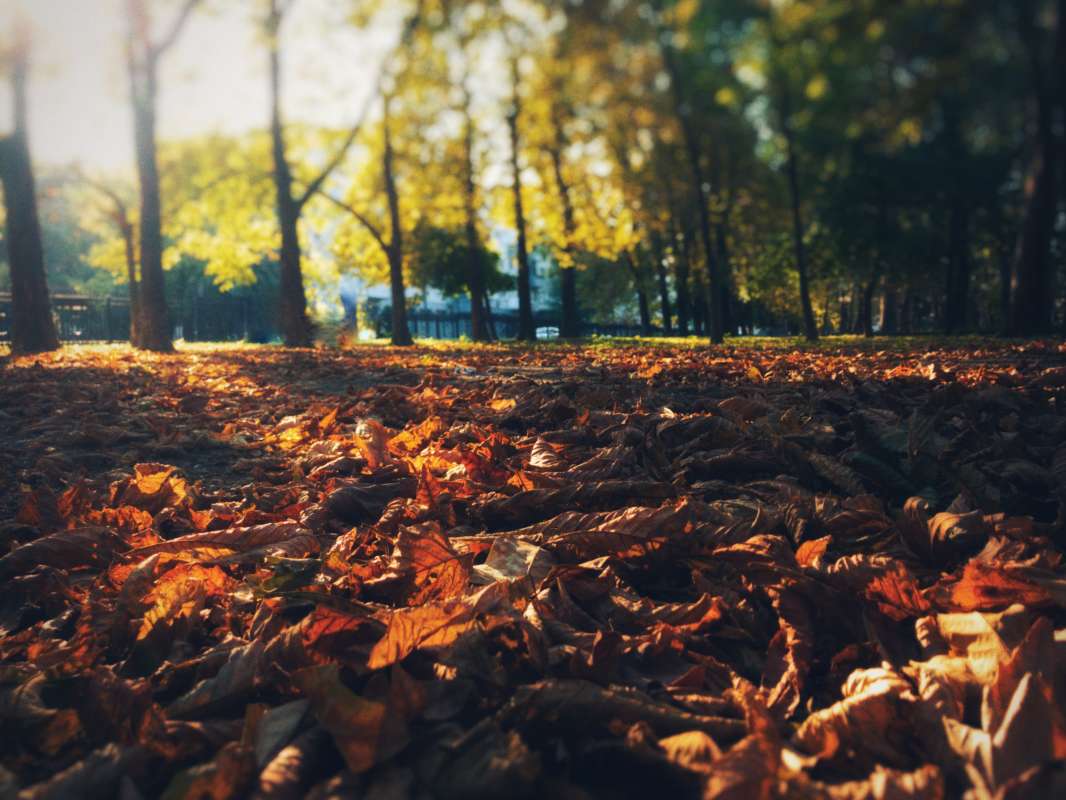 ... ����� ������ ������� �� PhotoGeek.ru #������ ��� �������