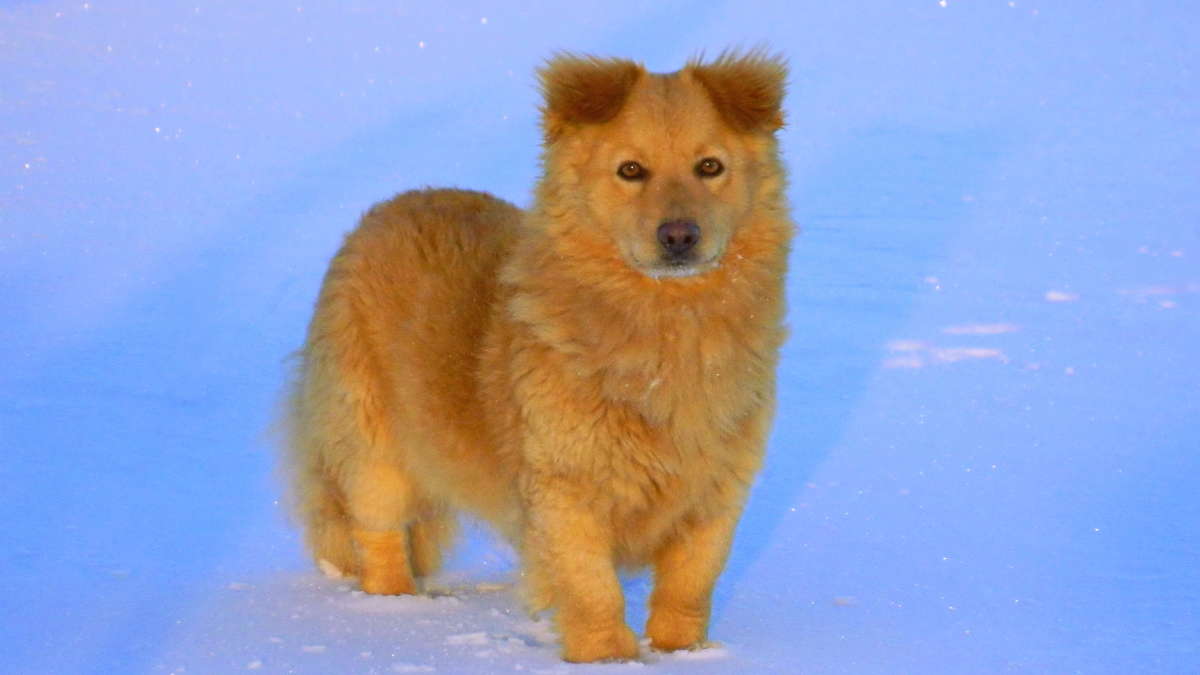 ����� ����� ������� ��������� �� PhotoGeek.ru #���� #ϸ�