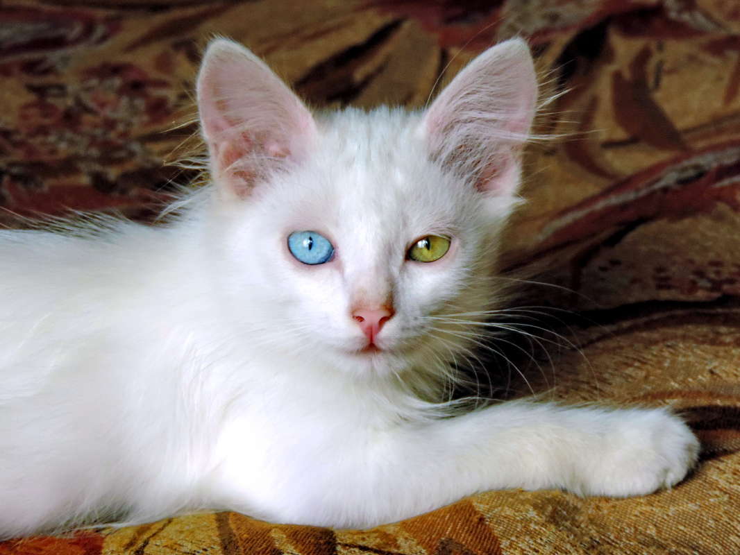 ������. ����� ������� ��������� �� PhotoGeek.ru #�������� ��� #�����