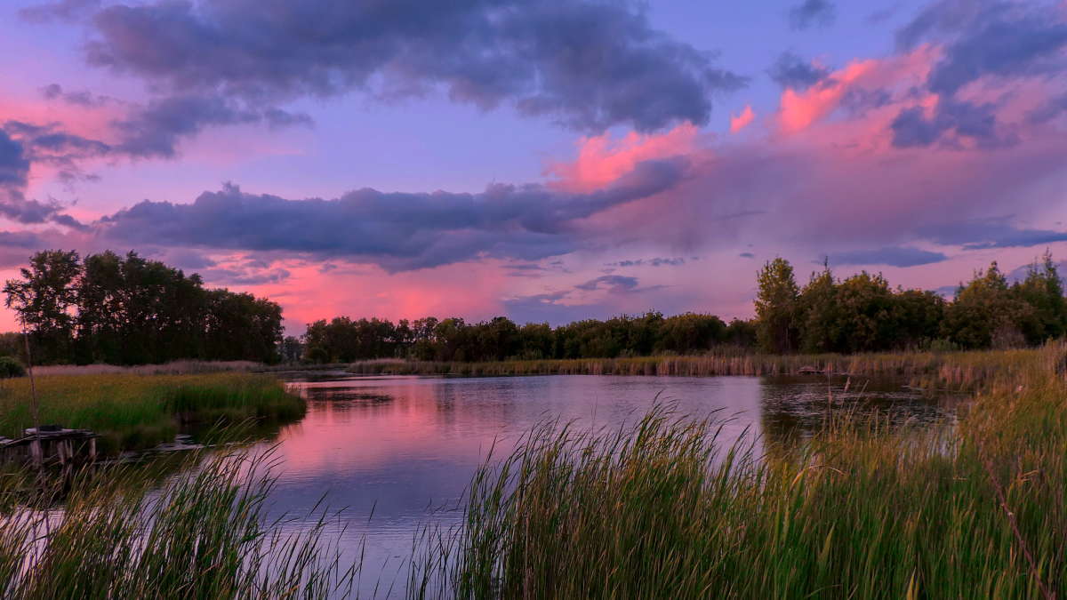 ���� �� ������ ���. ����� ������� ��������� �� PhotoGeek.ru #����� #������� #����