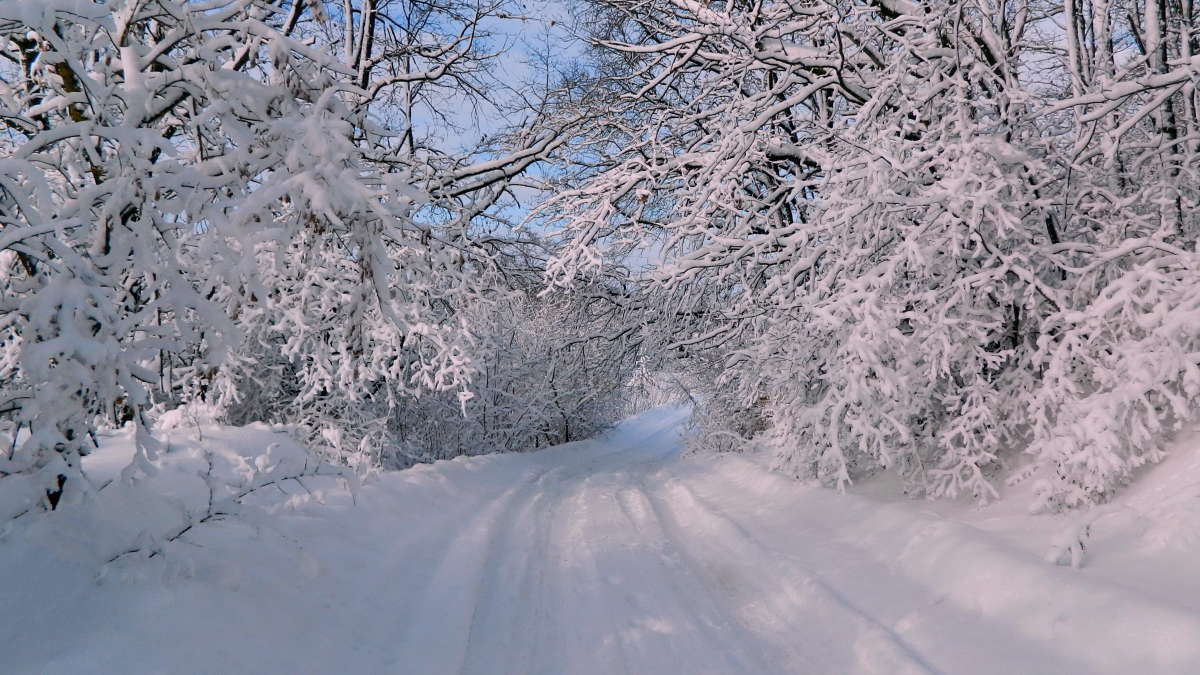 ������ ������. ����� ������� ��������� �� PhotoGeek.ru #������ ��� ������� #������ #���� #��� #����