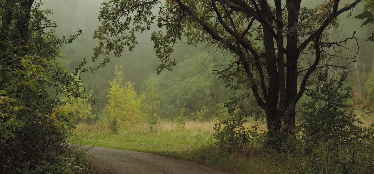 ����� �� �����. ����� ������� ��������� �� PhotoGeek.ru #������ ��� ������� #������ #��� #�����