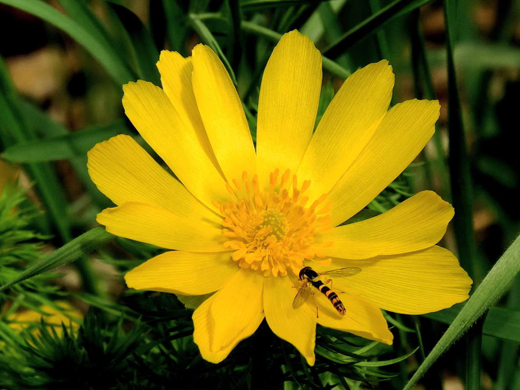 �������� ������ ������. ����� ������� ��������� �� PhotoGeek.ru #����� #��������� #������