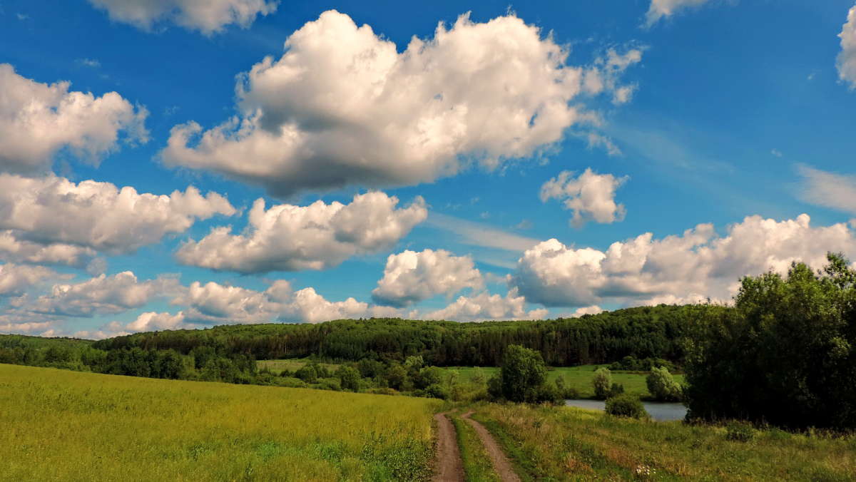   .     PhotoGeek.ru #   # # # # #