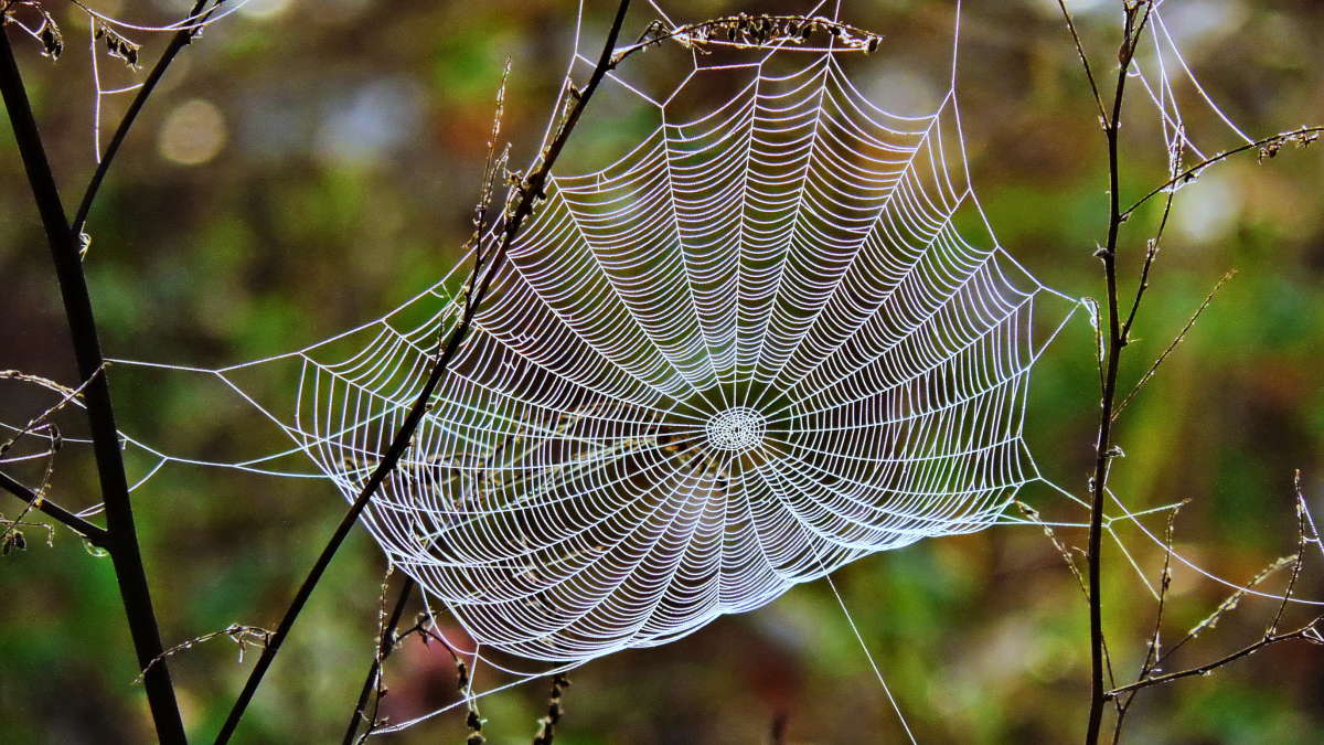 �������. ����� ������� ��������� �� PhotoGeek.ru #�����