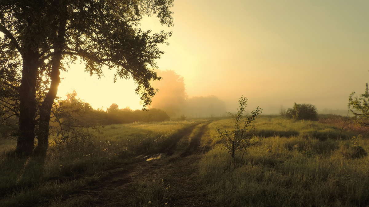 �������� �����. ����� ������� ��������� �� PhotoGeek.ru #������ ��� ������� #����� #�������