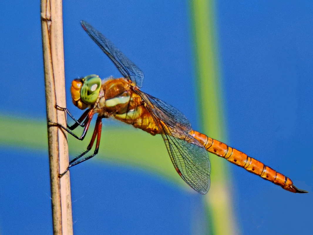 ��������. ����� ������� ��������� �� PhotoGeek.ru #�����