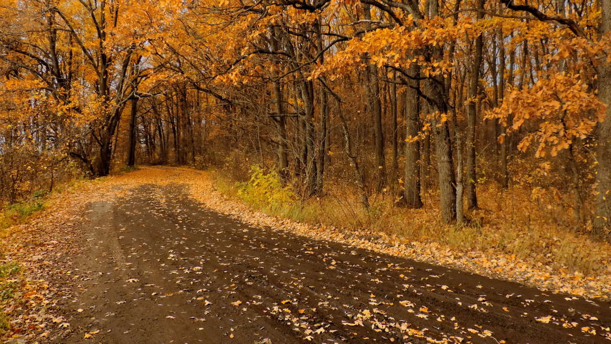 � ��� �������. ����� ������� ��������� �� PhotoGeek.ru #������ ��� ������� #������ #��� #������ #�����