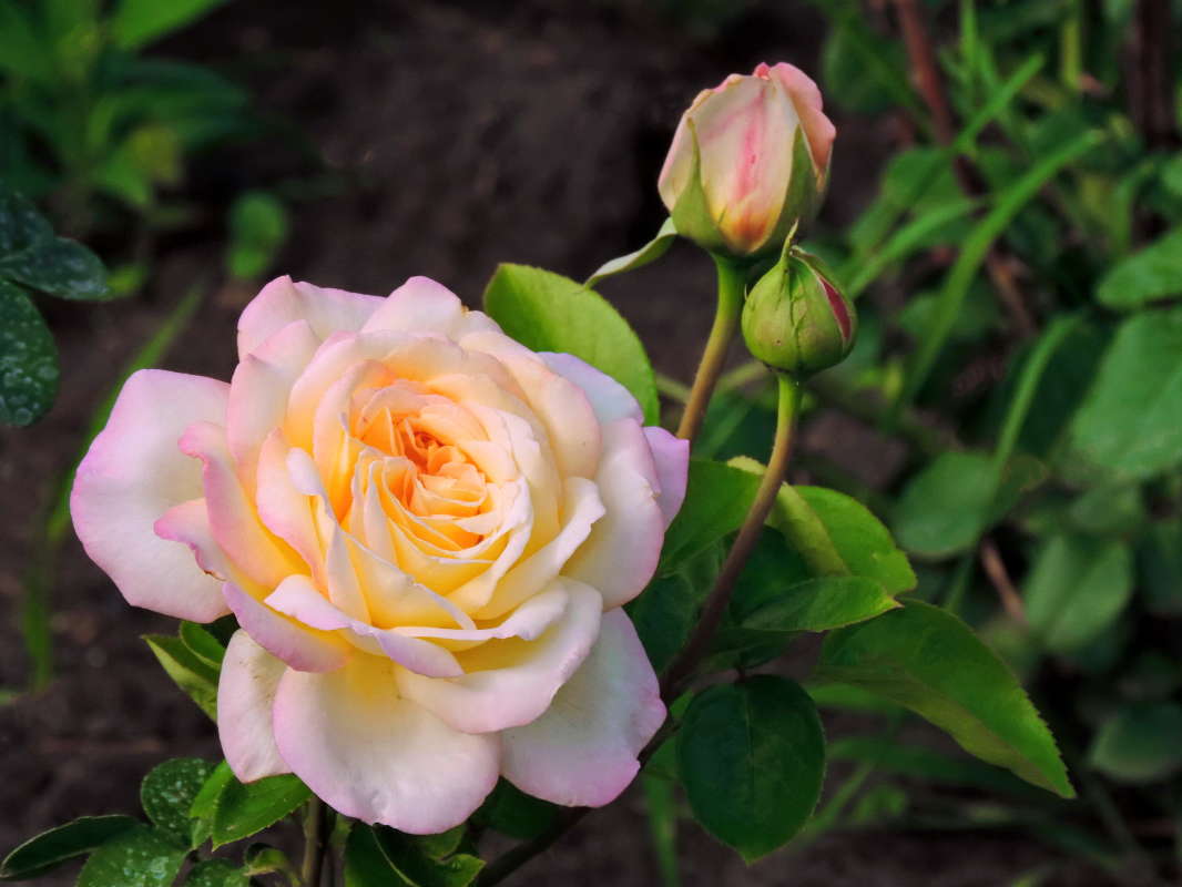 ���� � ������. ����� ������� ��������� �� PhotoGeek.ru #������ ��� �������