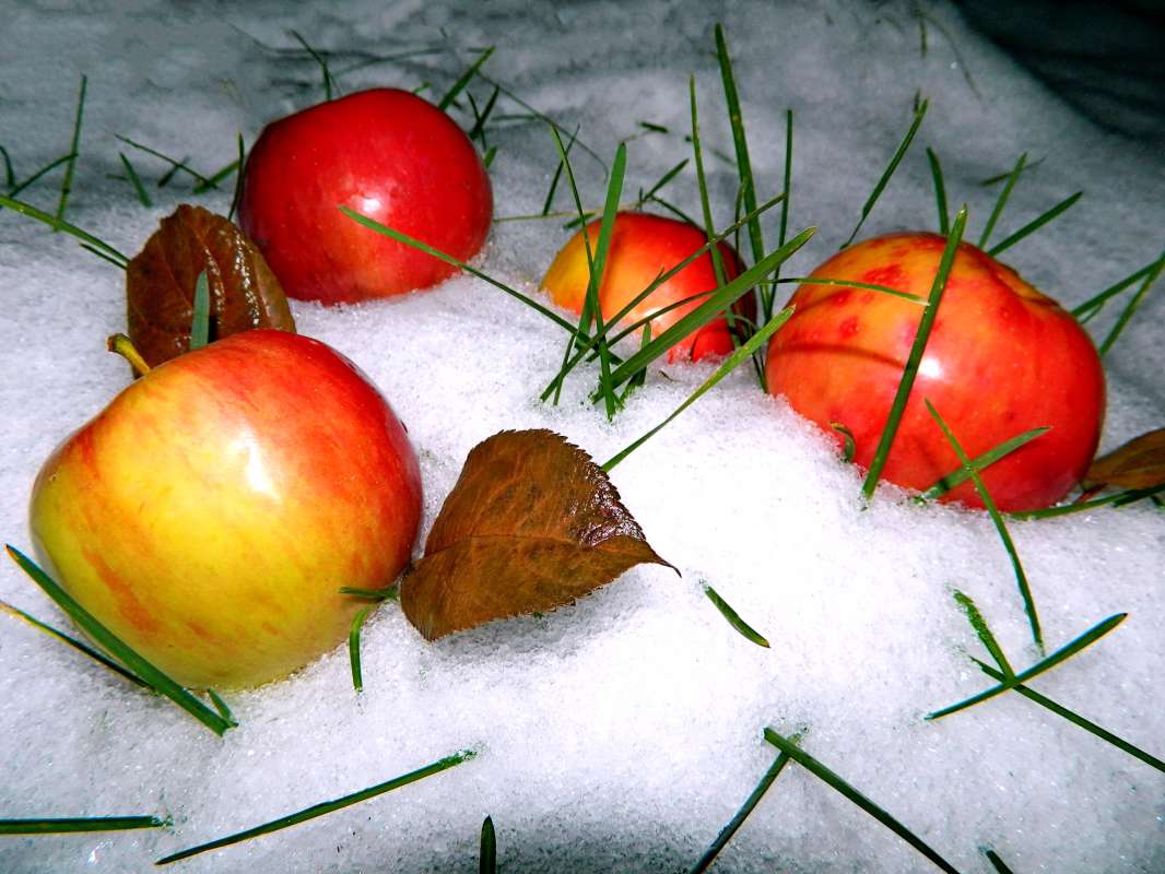 ������ �� �����. ����� ������� ��������� �� PhotoGeek.ru #������ ��� ������� #������ #���� #��������