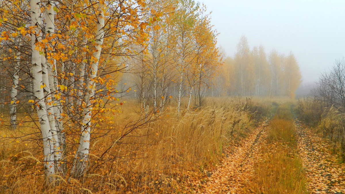 ������� �����. ����� ������� ��������� �� PhotoGeek.ru #������ ��� ������� #����� #������� #����� #�����