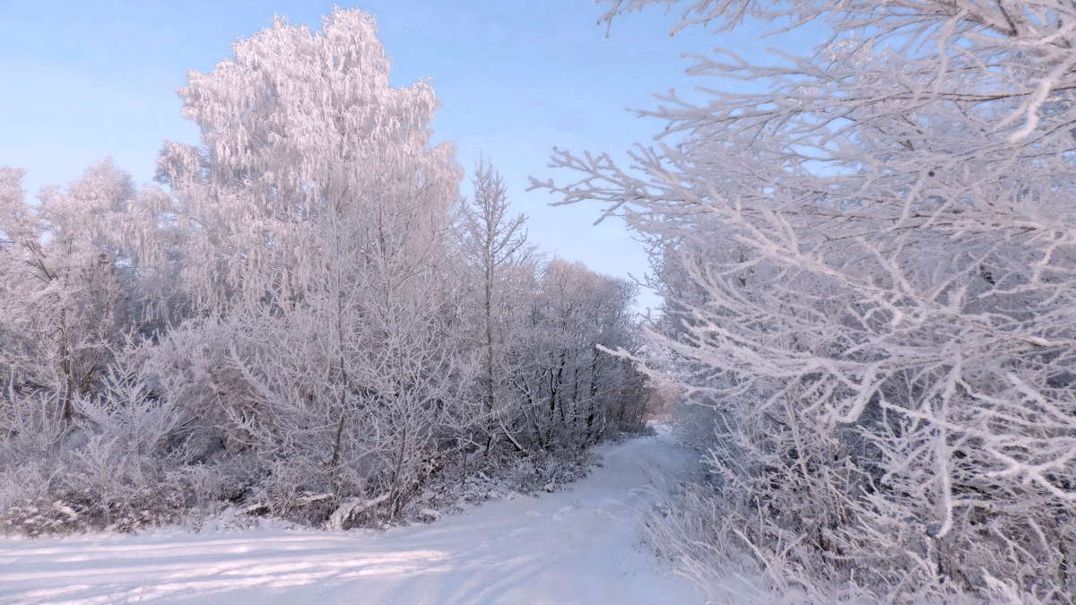 �������� ����. ����� ������� ��������� �� PhotoGeek.ru #������ ��� ������� #������� #������ #����