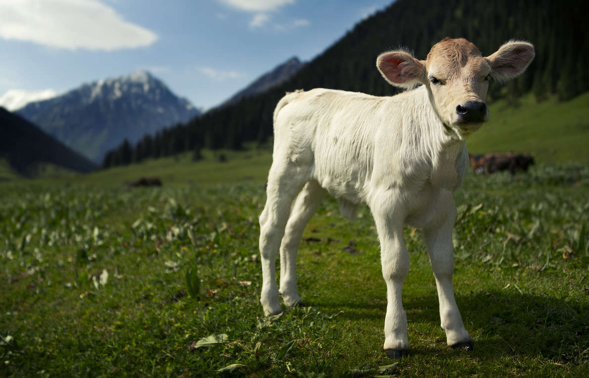 ������� ����� ������ ������� �� PhotoGeek.ru #�������� ��� #������ ��� �������