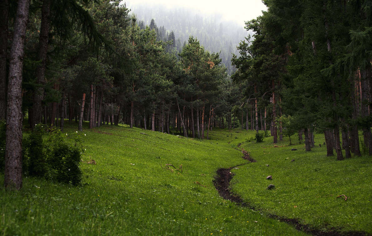 �������� ��� ����� ������ ������� �� PhotoGeek.ru #������ ��� �������