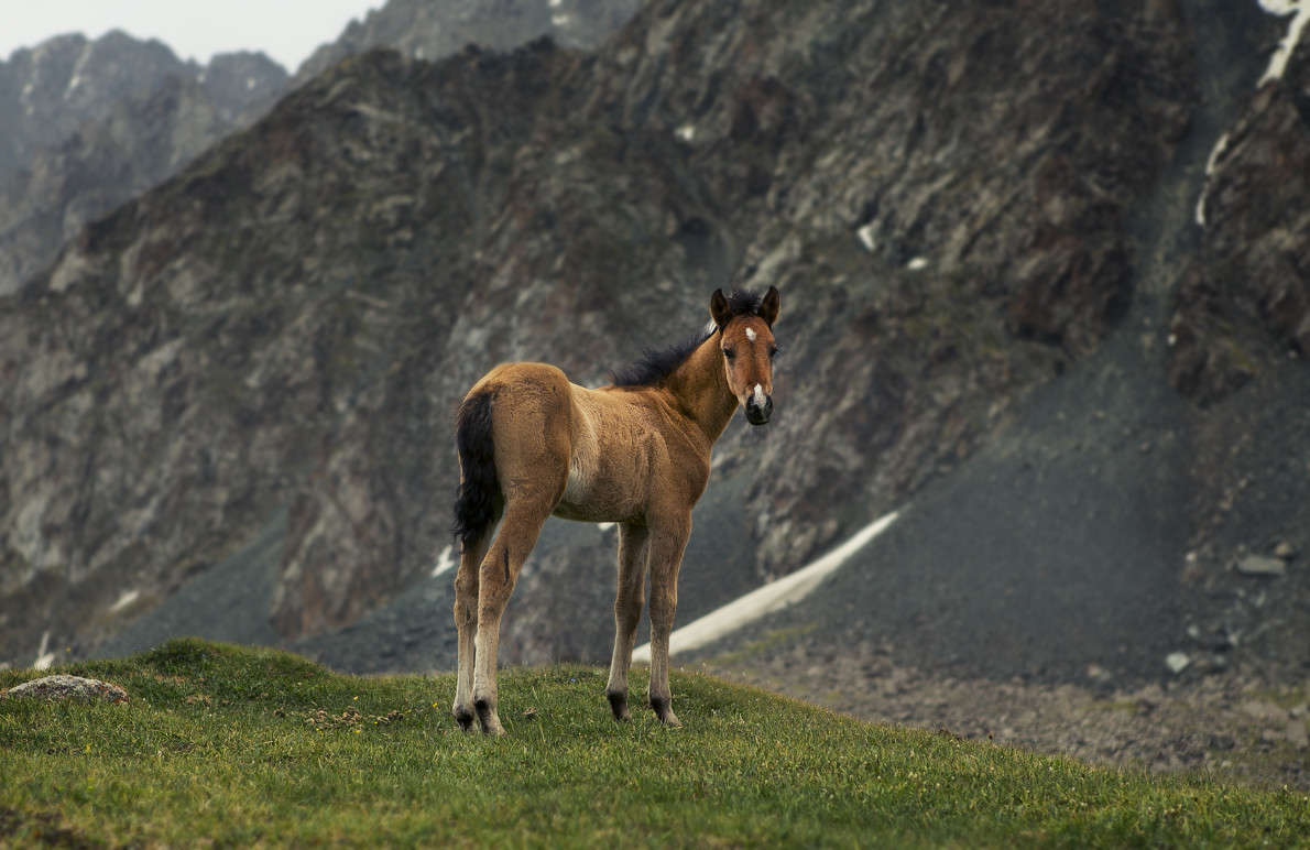 ������� ����� ������ ������� �� PhotoGeek.ru #�������� ���