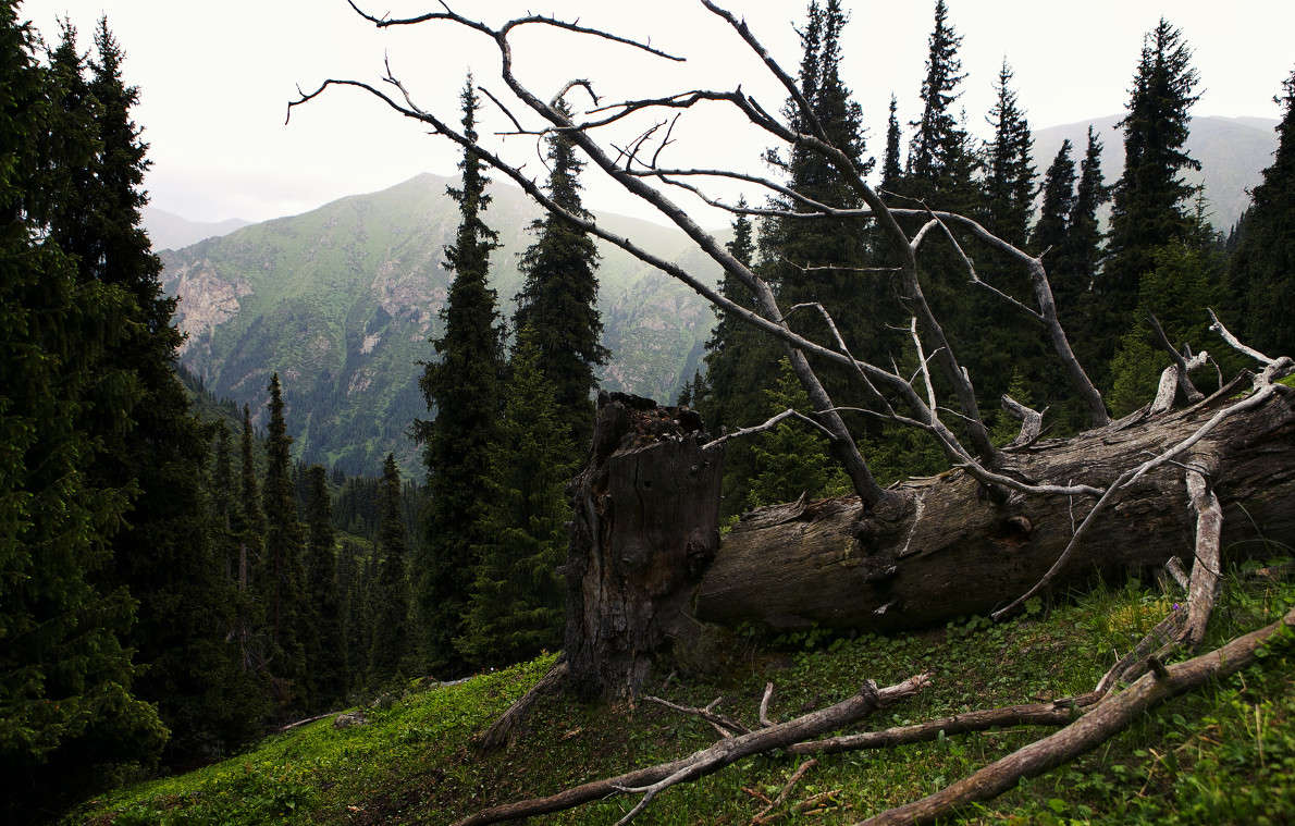 ��� ����� ������ ������� �� PhotoGeek.ru #������ ��� �������