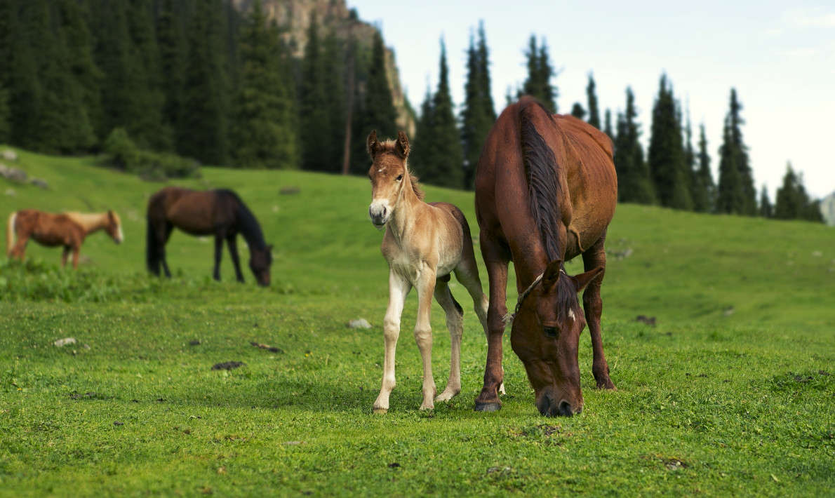 ������� ����� ������ ������� �� PhotoGeek.ru #�������� ���