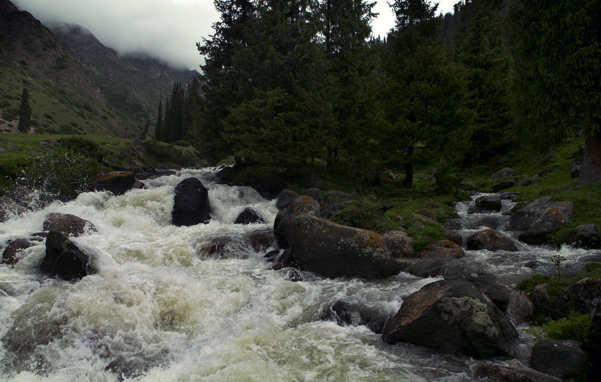 ���� ����� ������ ������� �� PhotoGeek.ru #������ ��� �������