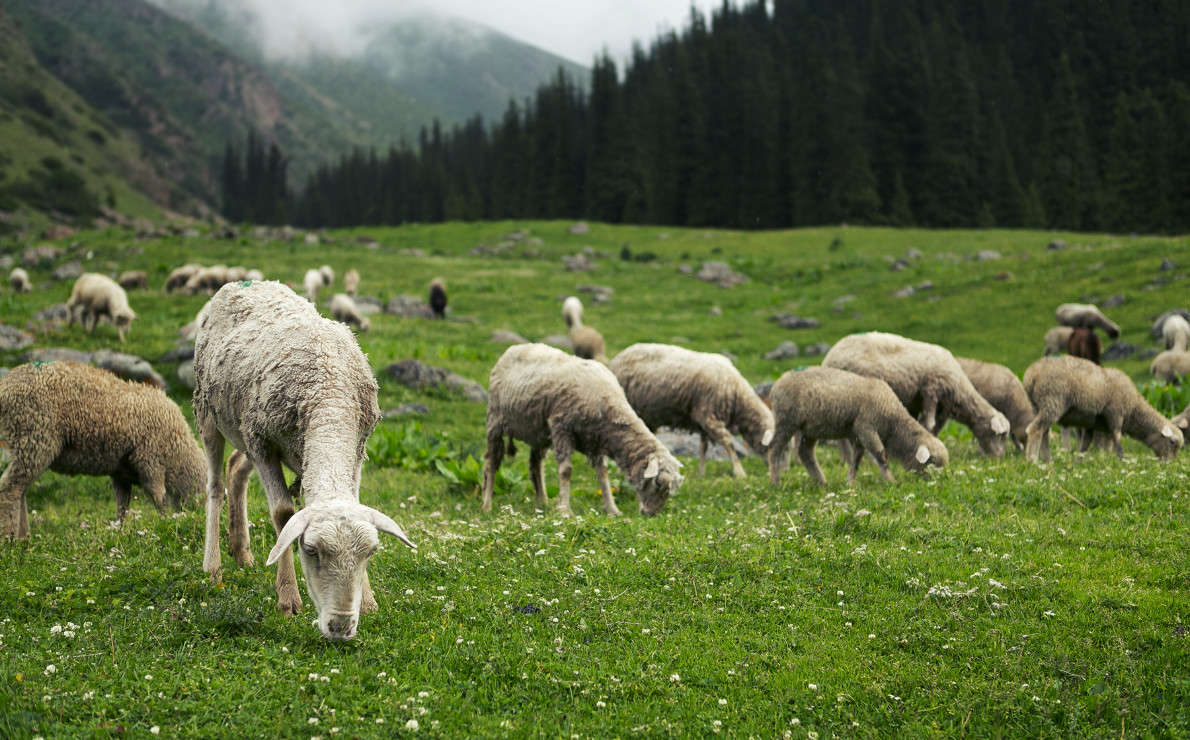 ������������� � ������ ����� ������ ������� �� PhotoGeek.ru #�������� ���