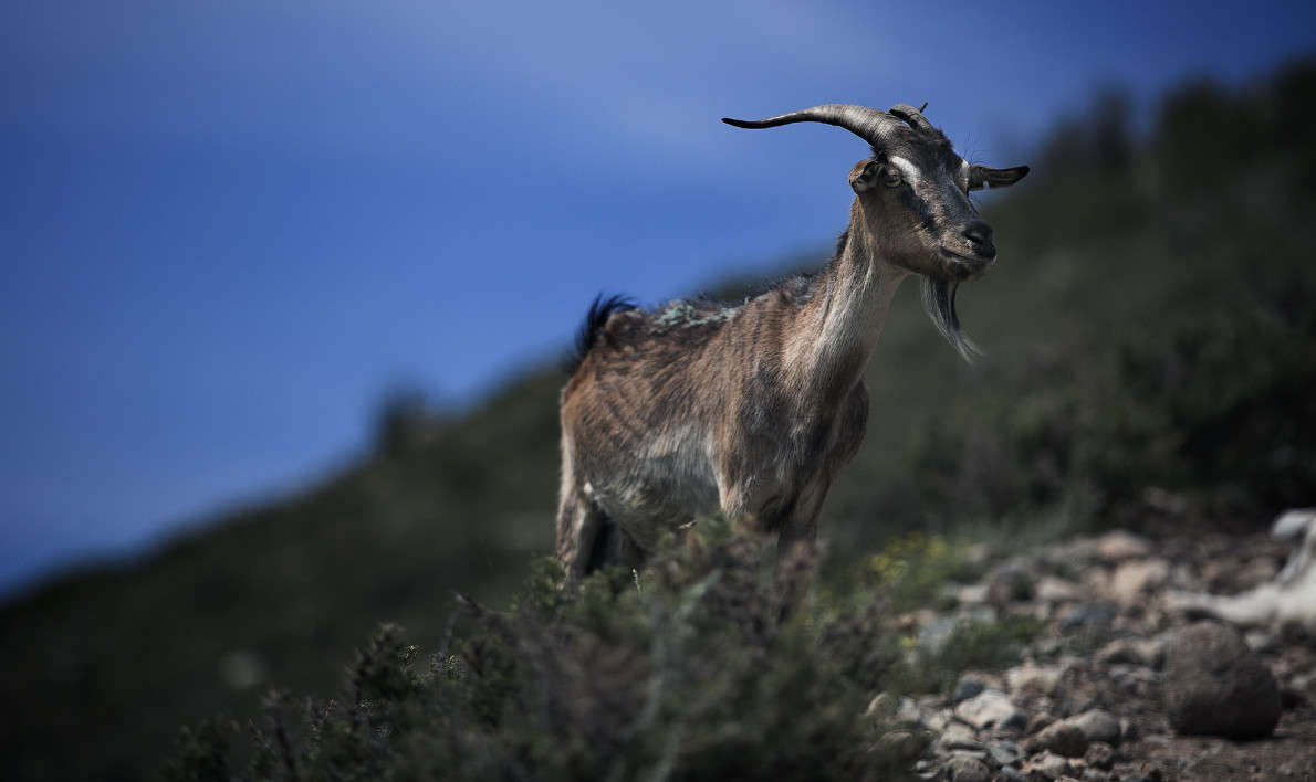 ����� ����� ������ ������� �� PhotoGeek.ru #�������� ���