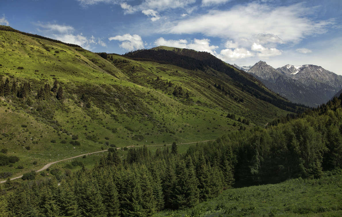 ������������ ������ ����� ������ ������� �� PhotoGeek.ru #������ ��� �������