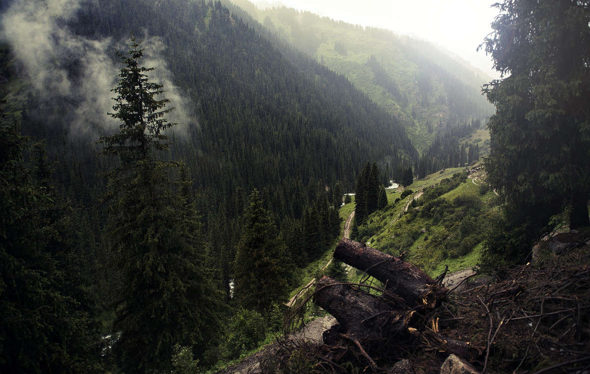 ������ ����� ������ ������� �� PhotoGeek.ru #������ ��� �������