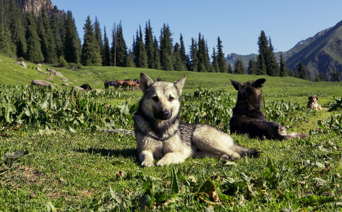 ��������� ����� ������ ������� �� PhotoGeek.ru #�������� ���