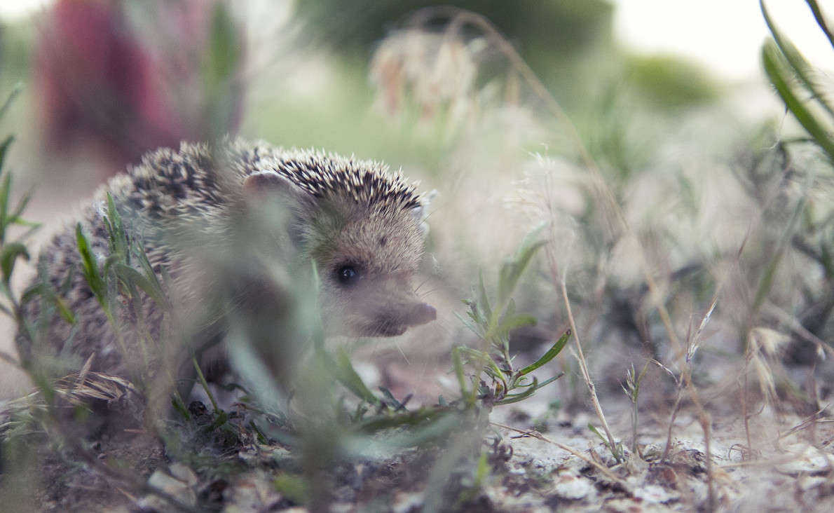 ��������� �������� ����� ������ ������� �� PhotoGeek.ru #�������� ���