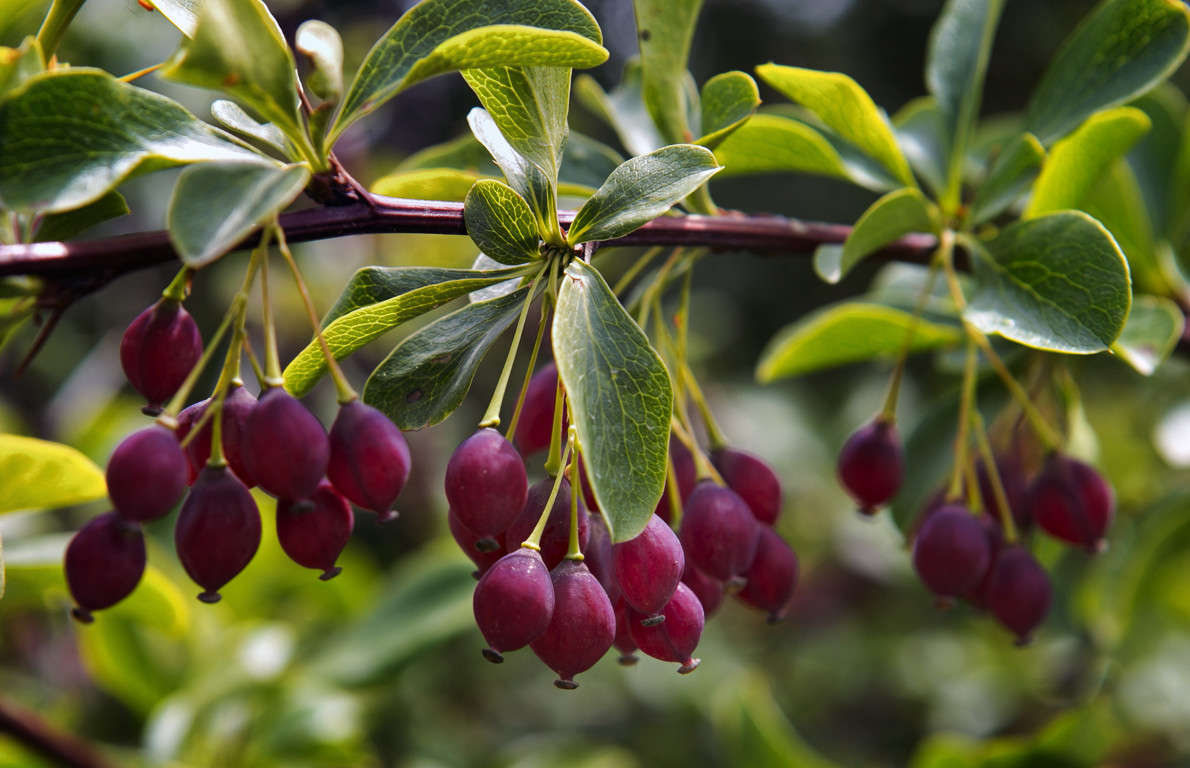 ���������� ��������� ����� ������ ������� �� PhotoGeek.ru #����� #����� ��������������